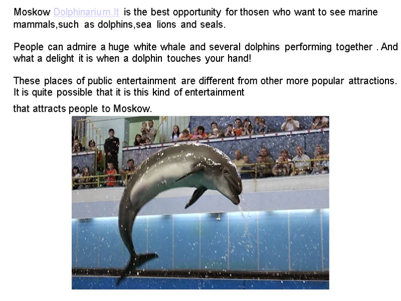 Moskow Dolphinarium.It is the best opportunity for thosen who want to see marine mammals,such